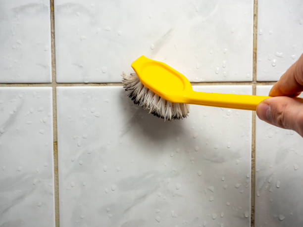 Professional Mold Removal in Slaughterville, OK