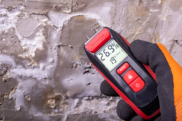Best Mold Testing and Removal  in Slaughterville, OK