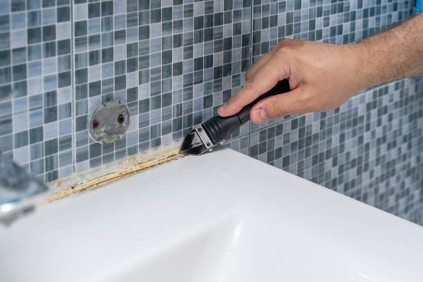 Best Mold Removal Near Me  in Slaughterville, OK