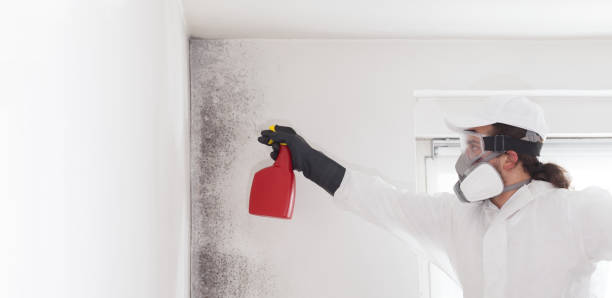 Best Crawl Space Mold Removal  in Slaughterville, OK